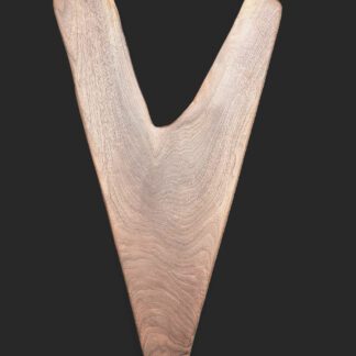 Wings and Feathers Series 6