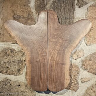 Wings and Feathers Series 7