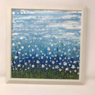 White Daisy Field