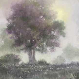 Standing Tall-in the Mist