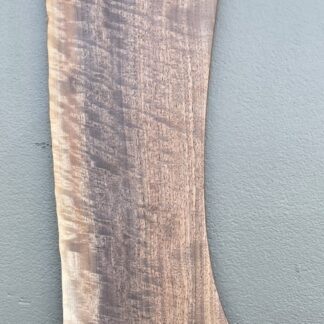 Black Walnut 2