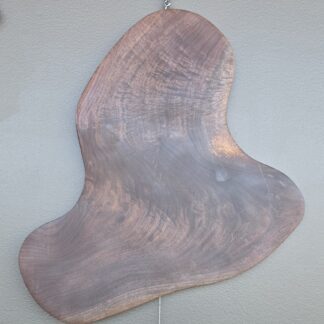 Black Walnut 4