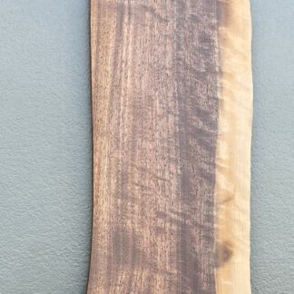Black Walnut 5