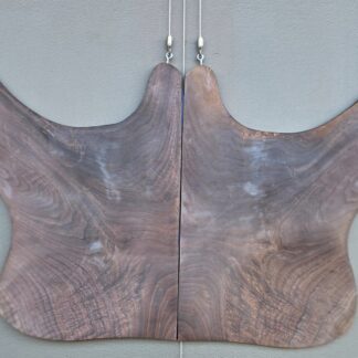 Black Walnut 6