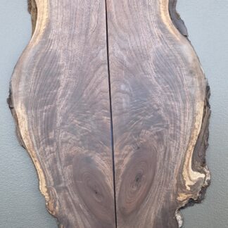 Black Walnut 7